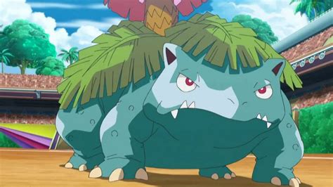 sceptile vs venusaur|best grass type starter pokemon.